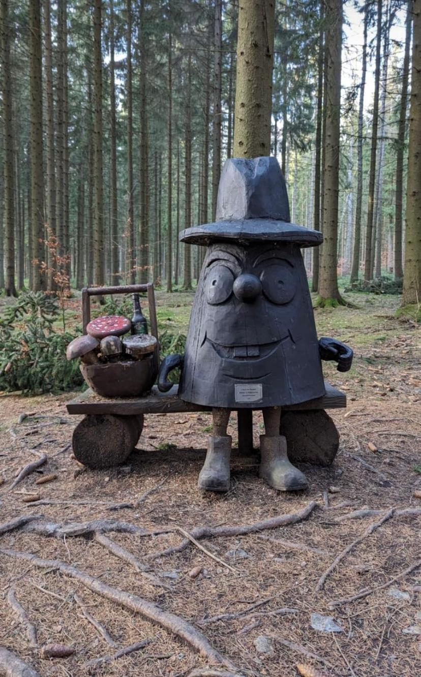 Ferienwohnung Rotbuche Tannenberg エクステリア 写真